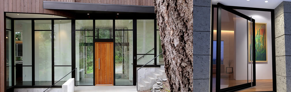 Steel, contemporary doors